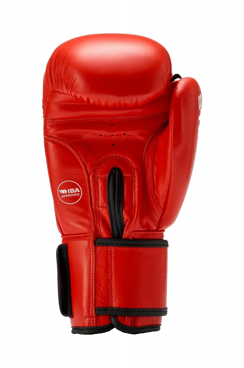 STING IBA/DBV Boxhandschuh Competition – Bild 5